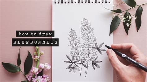 How To Draw Bluebonnets + Lupins | Floral Illustration - YouTube