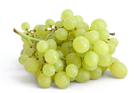 File:Table grapes on white.jpg - Wikimedia Commons