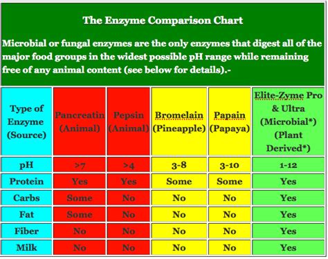 Elite Zyme Pro Digestive Enzymes - Essential Planet