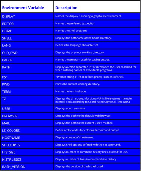 Environment Variables in Linux | TechRoots