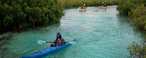 The Finest Five Turks & Caicos Activities - My Turks and Caicos