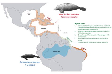 Manatees Habitat Map