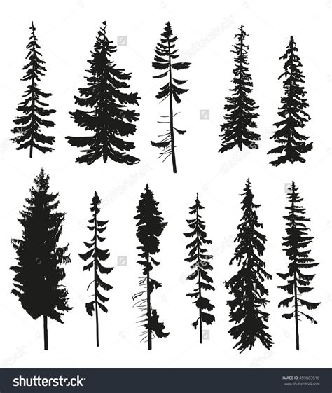 pine tree forest vector - Mila Trotter