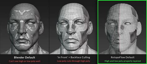 RetopoFlow 3 - Retopology Toolkit for Blender - Blender Market