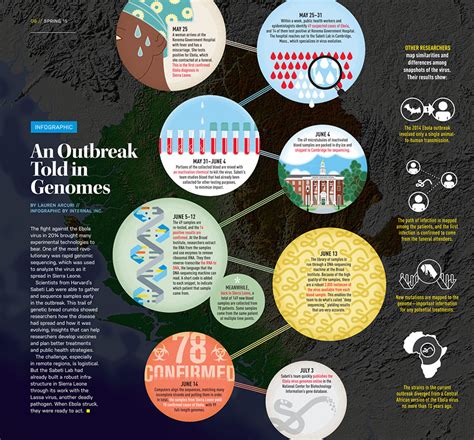 EBOLA GENOME INFOGRAPHIC - Chris Malec Design