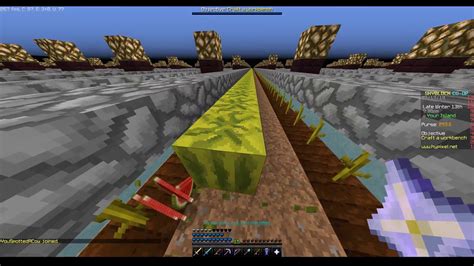 Hypixel Skyblock SPEED MELON FARMING - YouTube