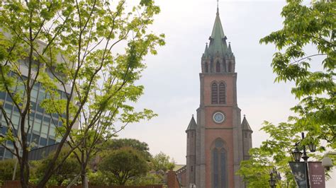 Myeongdong Cathedral Pictures: View Photos & Images of Myeongdong Cathedral