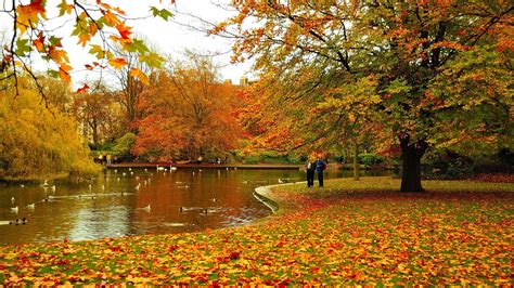 Autumn of St Stephen's Green, Dublin, Ireland