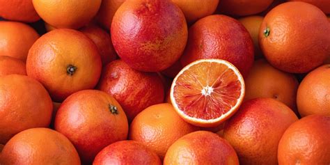 Can You Grow Blood Oranges in Florida? - GFL Outdoors