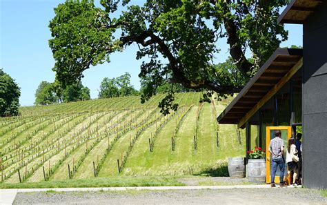 Best McMinnville Foothills Wineries | WineryHunt Oregon