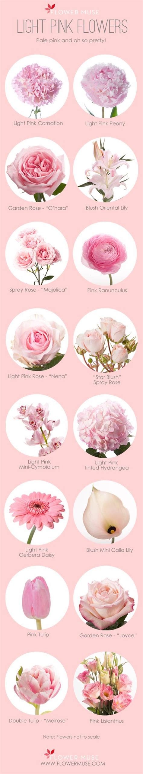 We've put together our list of favorite light pink flowers to inspire you to design something ...