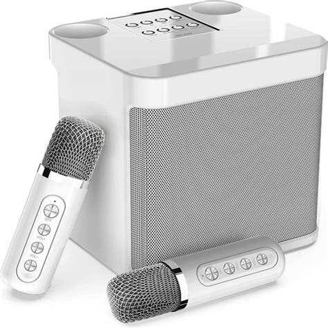 Karaoke Machine,Portable Bluetooth Karaoke Speaker with 2 Wireless ...