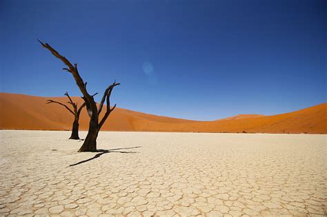 HD wallpaper: Namib Desert, 4K, Coastal desert | Wallpaper Flare