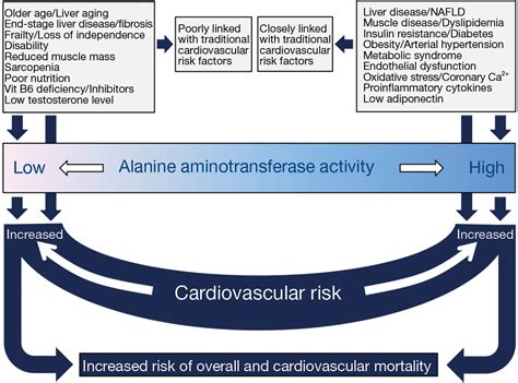 Alanine aminotransferase—a marker of cardiovascular risk at high and ...