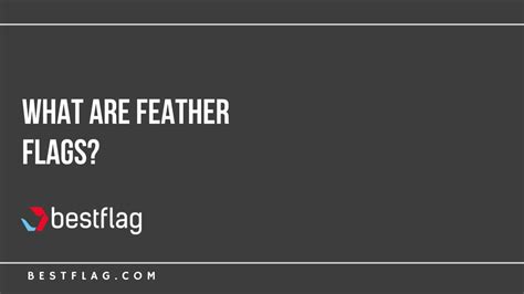 What Are Feather Flags? – BestFlag