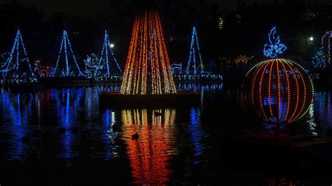 Cincinnati Zoo to ring in new year with virtual countdown