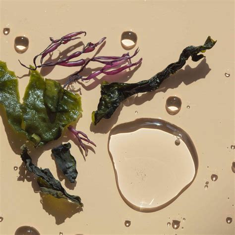 Seaweed for Skin: The Complete Guide