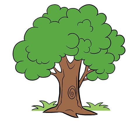 Drawing Cartoon Tree Clip art - tree-lined png download - 678*600 ...