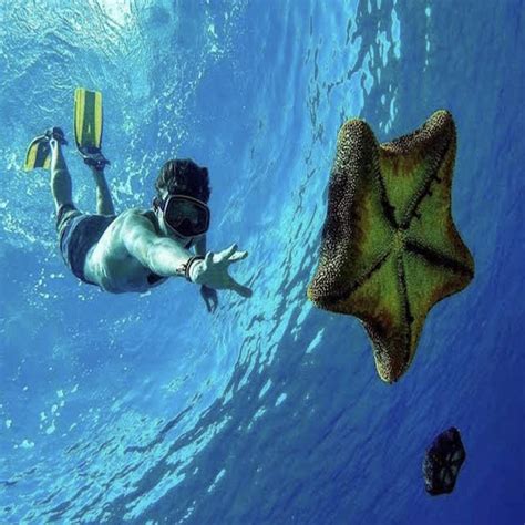 Hanauma Bay Snorkel Tour - Travel You To The Moon Reservations