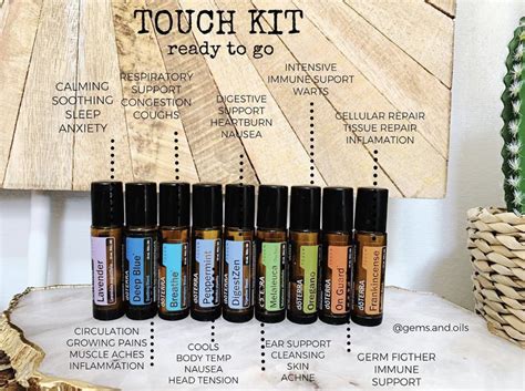 Everyday Touch Rollers | Doterra peppermint, Roller, Everyday essentials products