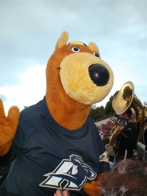 University of Akron Mascot, Zippy | Flickr - Photo Sharing!