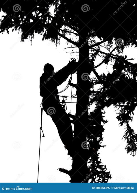 Arborist Vector Stock Photos - Free & Royalty-Free Stock Photos from ...