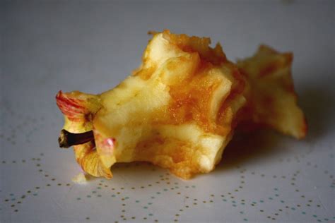 Apple Core – Photos Public Domain