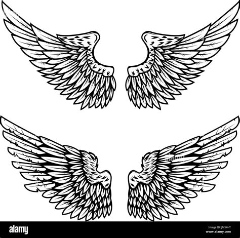 Drawings Of Eagle Wings