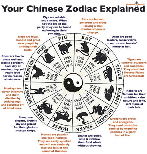 Your Chinese Zodiac Explained | Pleated Jeans