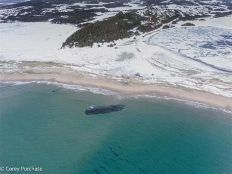 Mysterious ghost shipwreck appears on coastline centuries after sinking | World News | Metro News