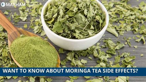 Moringa Tea Side Effects and Uses- 4 Proven Researches | Marham