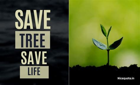 80+ Best Slogans On Save Trees And Save Tree Quotes November 2024