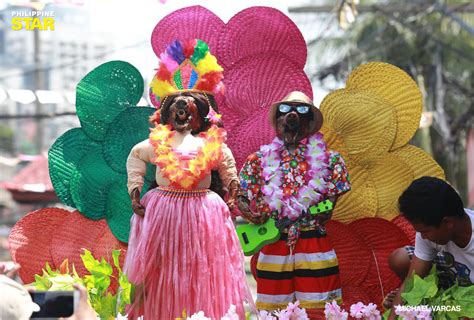 Philippine Star - LOOK: Dressed lechon are displayed in a...