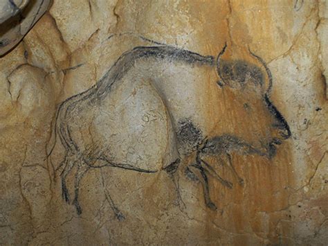 Prehistoric cave paintings help solve the mystery of how bison ended up ...