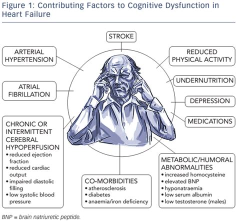 Cognitive Decline in Heart Failure: More Attention is Needed | CFR Journal