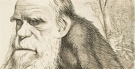 Charles Darwin and the Origin of Species - Historic UK