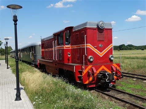 Free Images : forest, track, locomotive, germany, old train, rail transport, narrow gauge ...