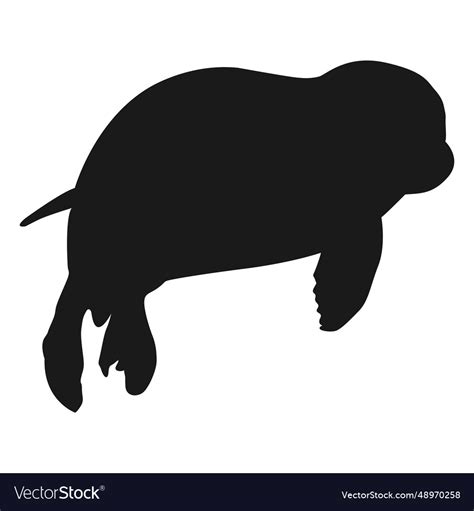 Seal silhouette Royalty Free Vector Image - VectorStock