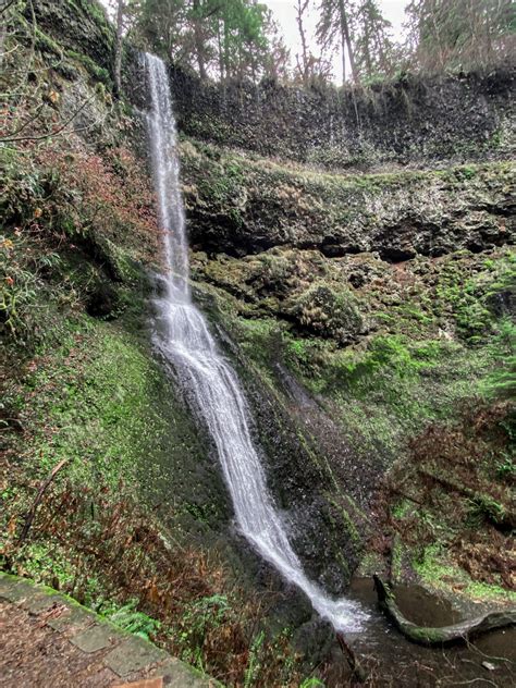 Trail of Ten Falls: Silver Falls State Park - Maddie Deer