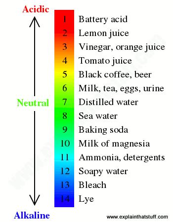 Ph of Lemon Juice - Reagan-well-Archer