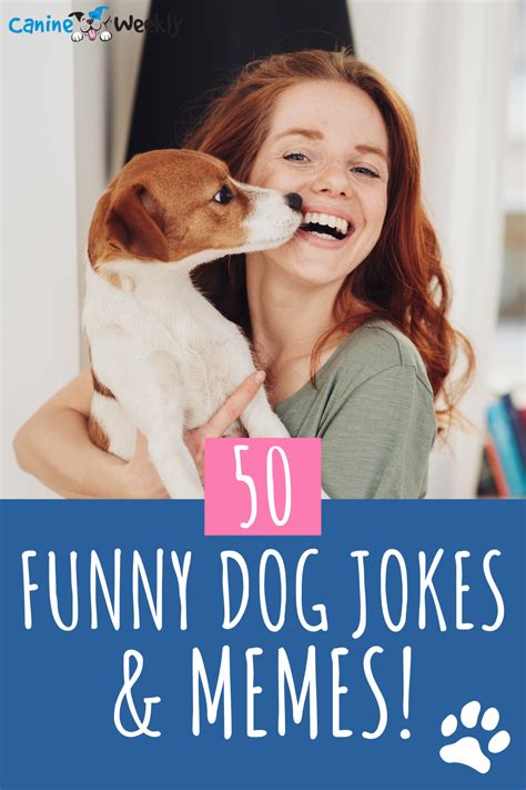 50 Funny Dog Jokes and Memes to Lift Everyone's Spirits | Dog jokes, Funny dog jokes, Funny dog ...