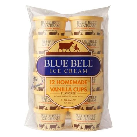 Blue Bell Homemade Homemade Vanilla Ice Cream Cups | Publix Super Markets