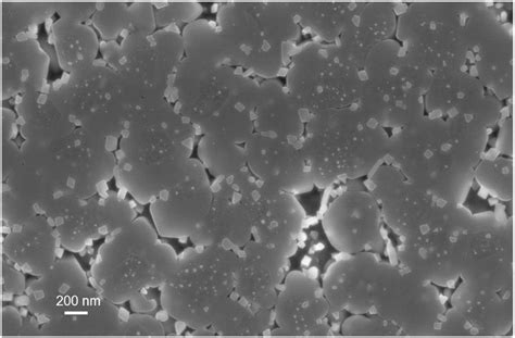 Example of a typical microstructure of a glass-ceramic obtained by bulk ...