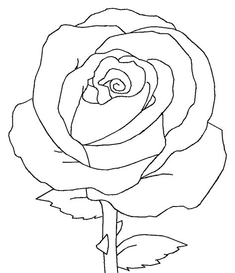 Black And White Rose Drawing - Cliparts.co