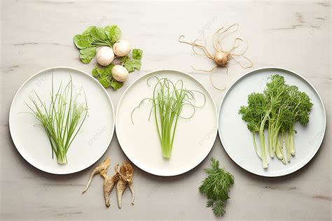 Plates With Different Types Of Root Crops Background, 3, High Resolution, Cold Greens Background ...