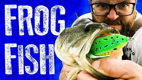 HUNTING MONSTER BASS | Topwater Frog Bass Fishing - YouTube
