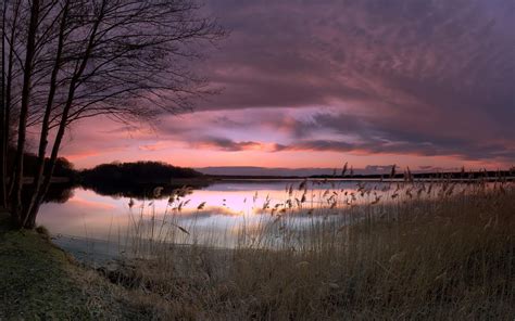 Download Cloud Sky Water Tree Sunset Nature Lake HD Wallpaper