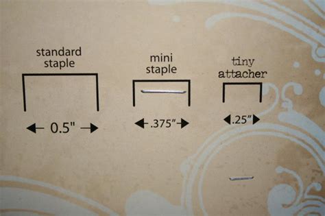 The Tiny Attacher Compared to a Regular Stapler | Joy's Life