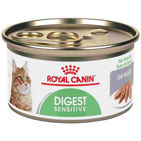 Royal Canin Feline Health Nutrition Digest Sensitive Loaf in Sauce Canned Cat Food | Petco