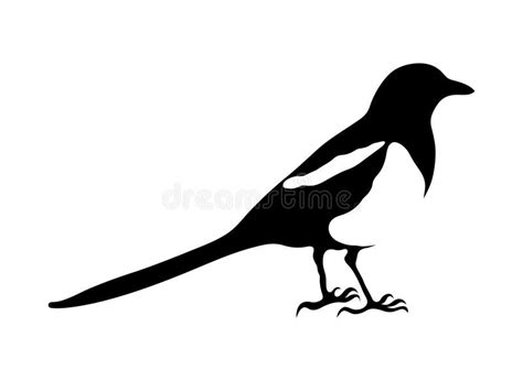 Stencil, Black and White Illustration of a Magpie Stock Vector - Illustration of white, thief ...